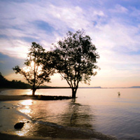 轰炸手机短信网站